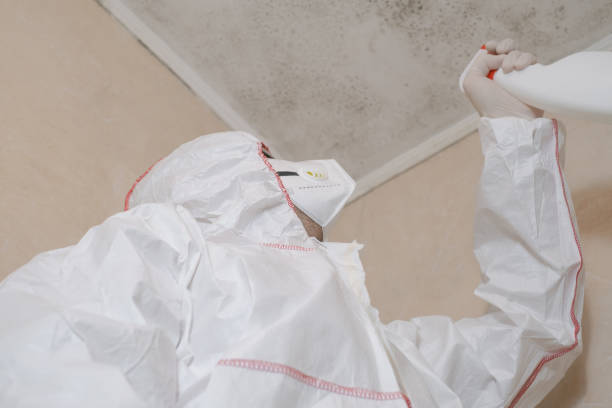 Best Toxic Mold Removal  in West Samoset, FL